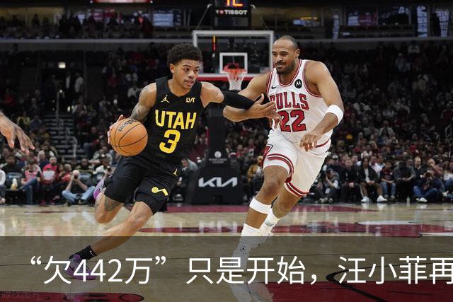 “欠442万”只是开始，汪小菲再迎2大重锤，张兰担心的事发生