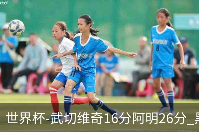世界杯-武切维奇16分阿明26分 黑山大胜埃及