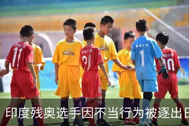 印度残奥选手因不当行为被逐出日本 印残奥委：零容忍建议终身禁赛