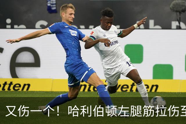 又伤一个！哈利伯顿左腿筋拉伤至少缺席2周