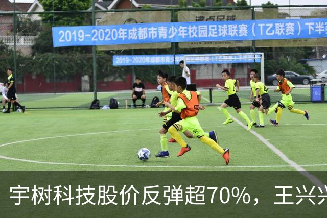 宇树科技股价反弹超70%，王兴兴身家695亿元，首次入围胡润百富榜