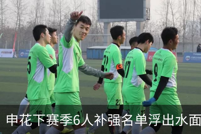申花下赛季6人补强名单浮出水面，未来他们将挑大梁，值得期待