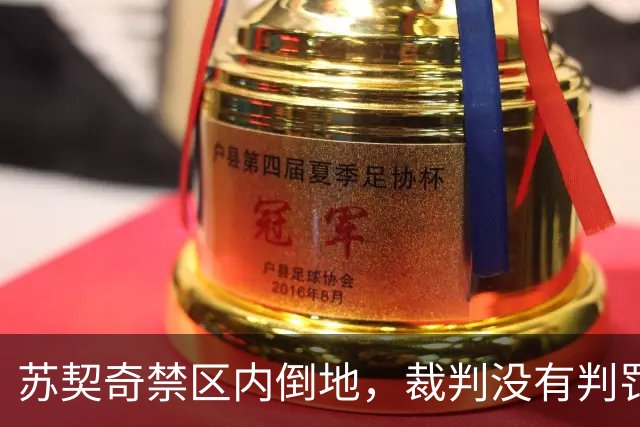 苏契奇禁区内倒地，裁判没有判罚