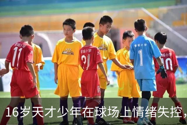 16岁天才少年在球场上情绪失控，却把自己踹成了球队输球的背锅侠
